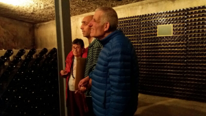 Visita a les caves Alta Alella