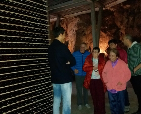 Visita a les caves Alta Alella