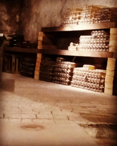 Visita a les caves Alta Alella