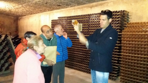 Visita a les caves Alta Alella