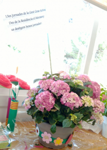 Jornades de la gent gran activa